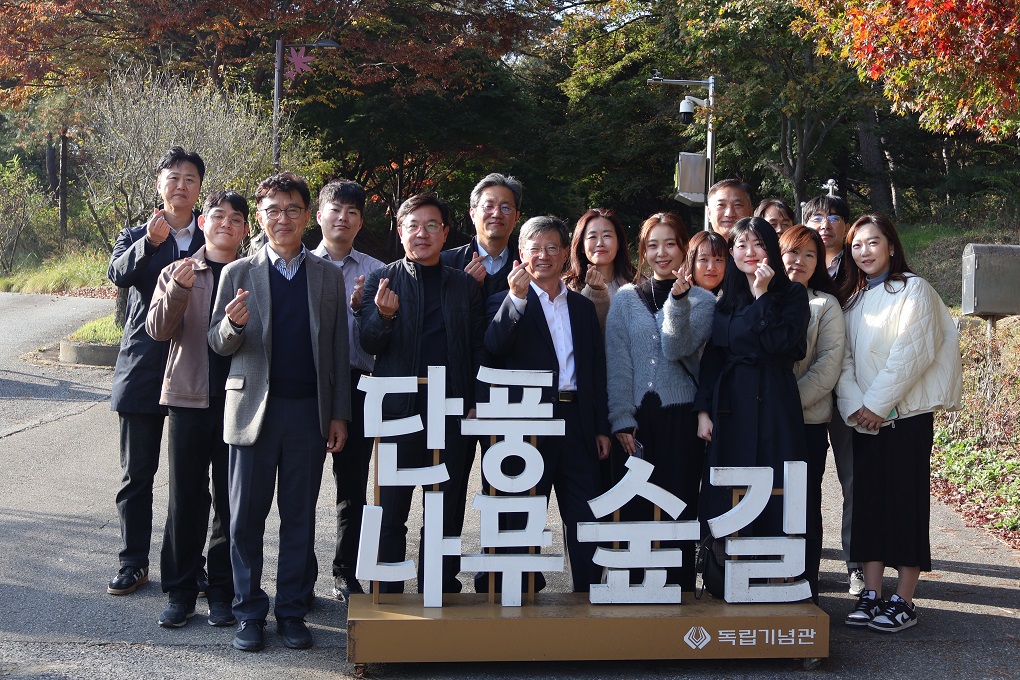 단풍나무숲길.jpg