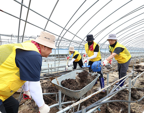 재난구호 봉사 사진
